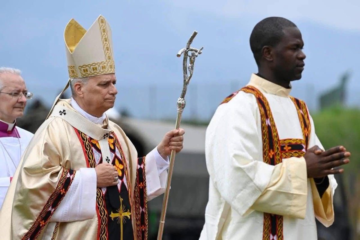 This is a beautiful in-cooperation of the traditional Toghu (or Atoghu) attire of the Cameroonian in the chasuble of the Pope. 

The Toghu is a traditional embroidered attire among the Bamenda Grassfields people. Dark and richly decorated. It is heavy and usually in great quality