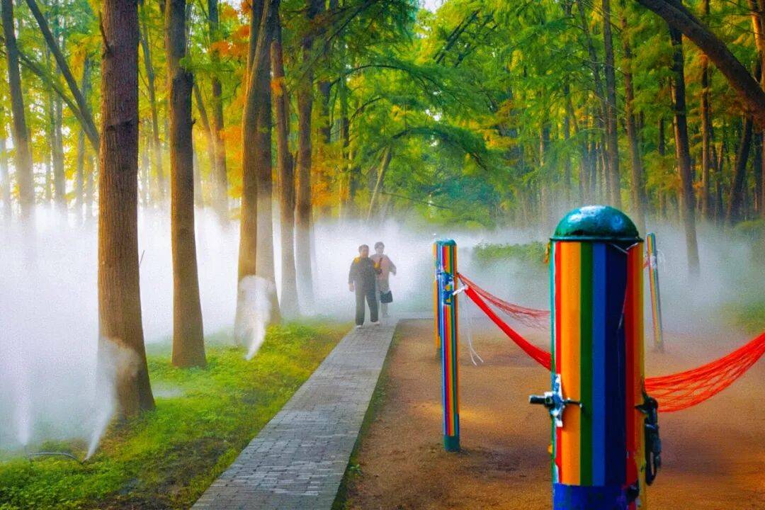 Safewaycctv tweet media