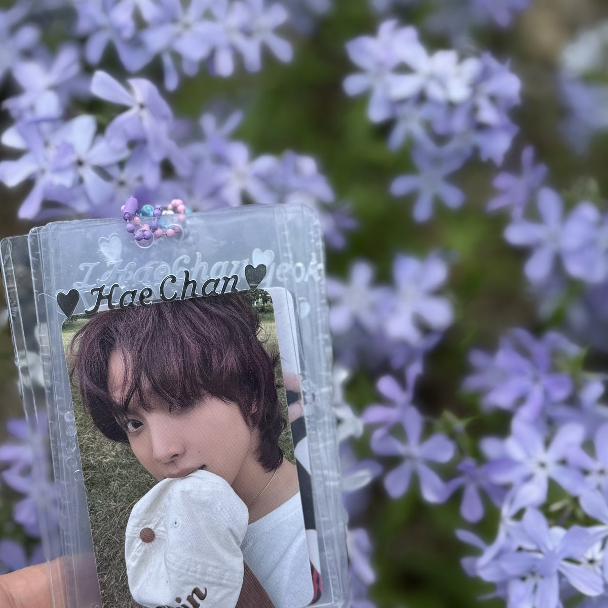 해디🐻 tweet media