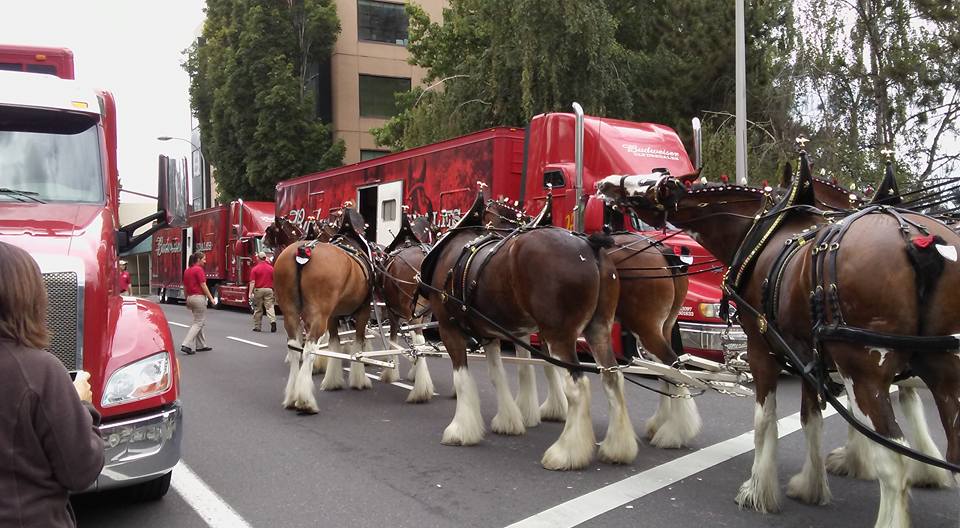 Rumble Dumbs tweet media