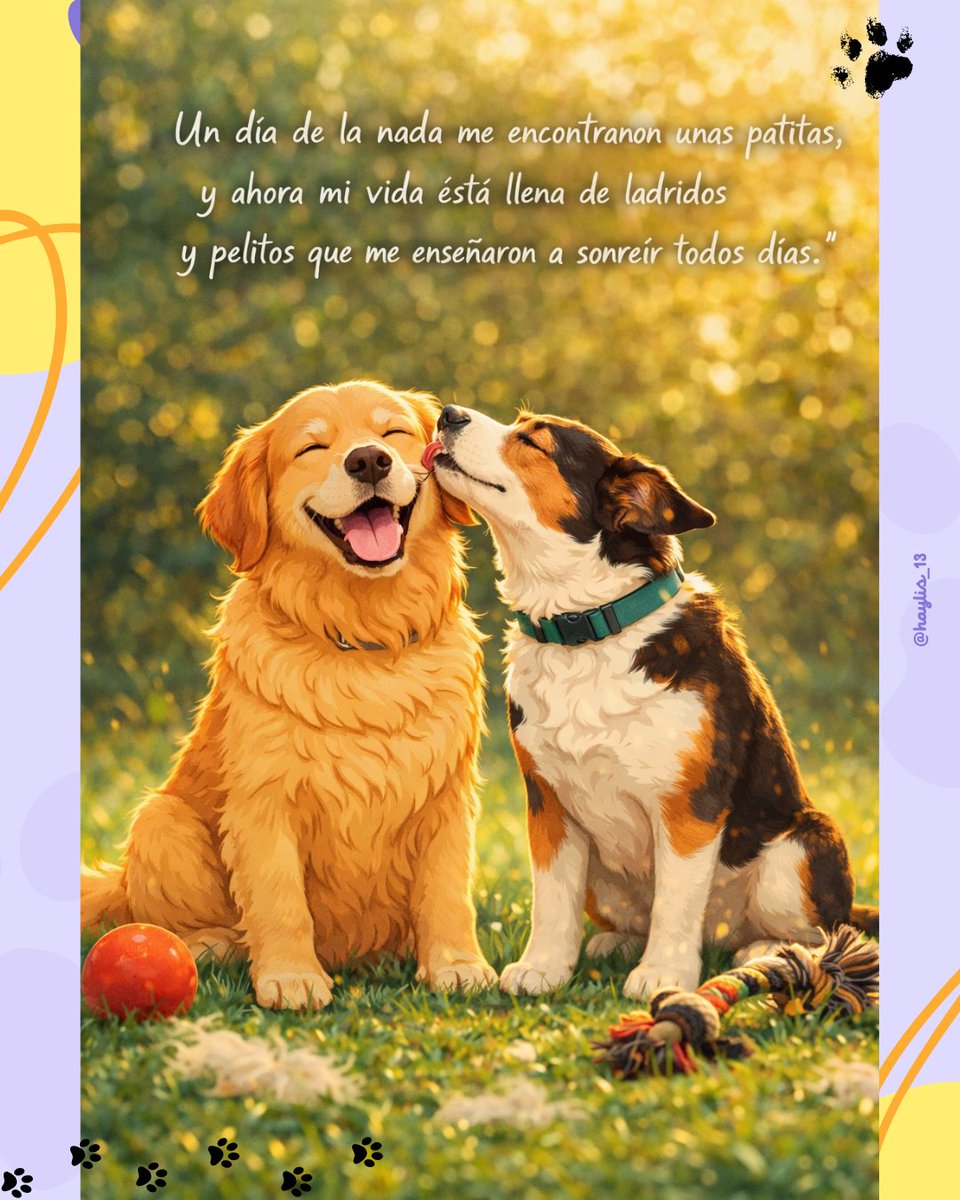 haylis_13's tweet image. ❤️‍🩹 Un día de la nada me encontraron unas patitas, y ahora mi vida esta llena de ladridos y pelitos que me enseñaron a sonreír todos los días.❣️
#mascotas #pets #catmom #dogmom 
✨