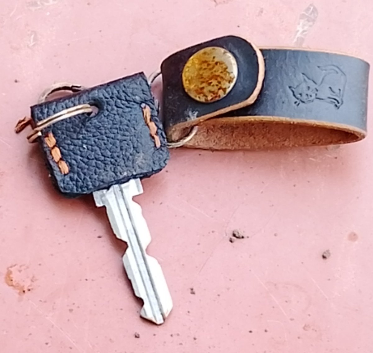 シマチュウ tweet media