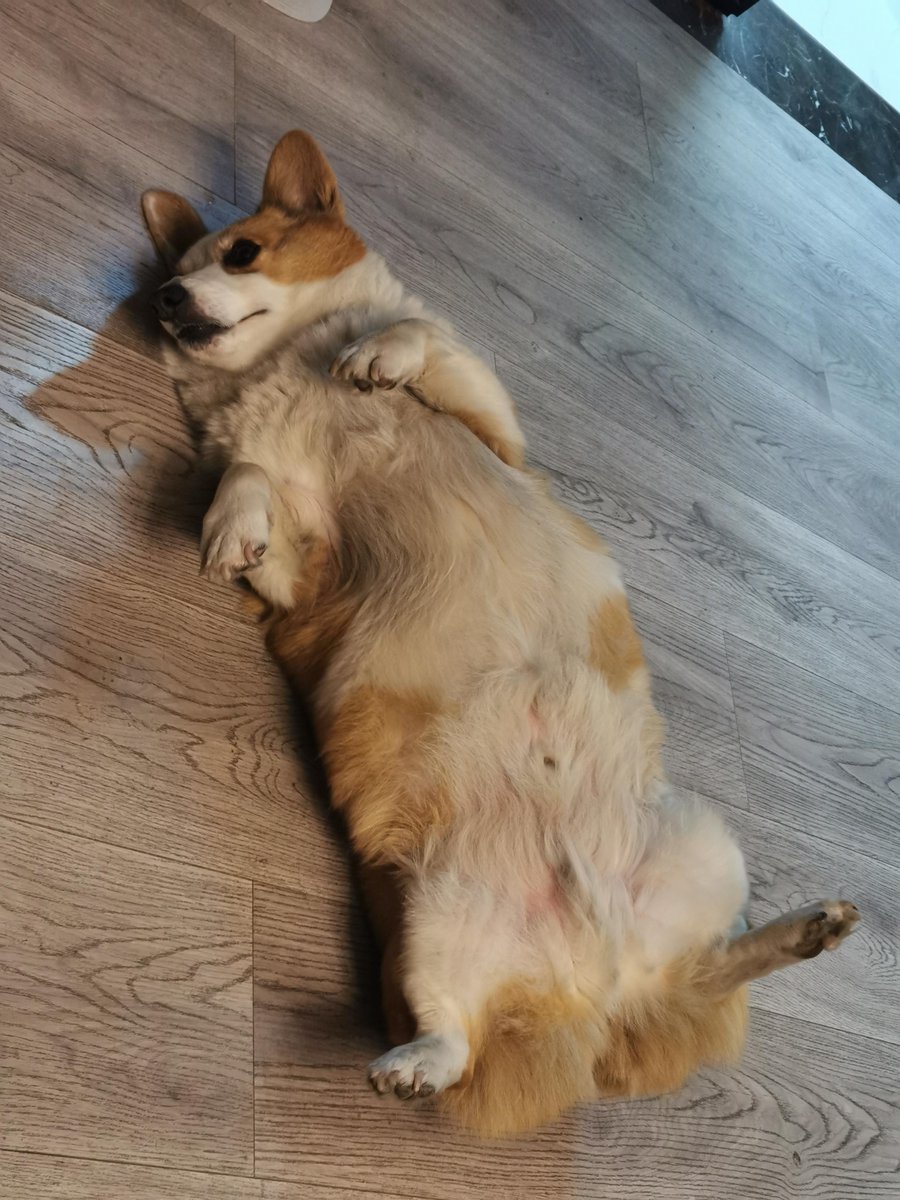 Joseph Thompson tweet media