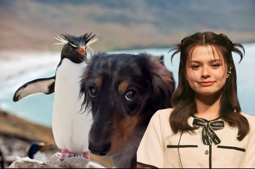 พี่แบรี่โน๊ะน้ำใส ⚯͛ tweet media