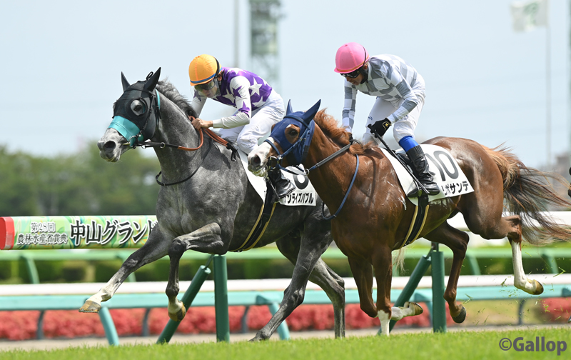 週刊Gallop（Weekly Gallop） tweet media