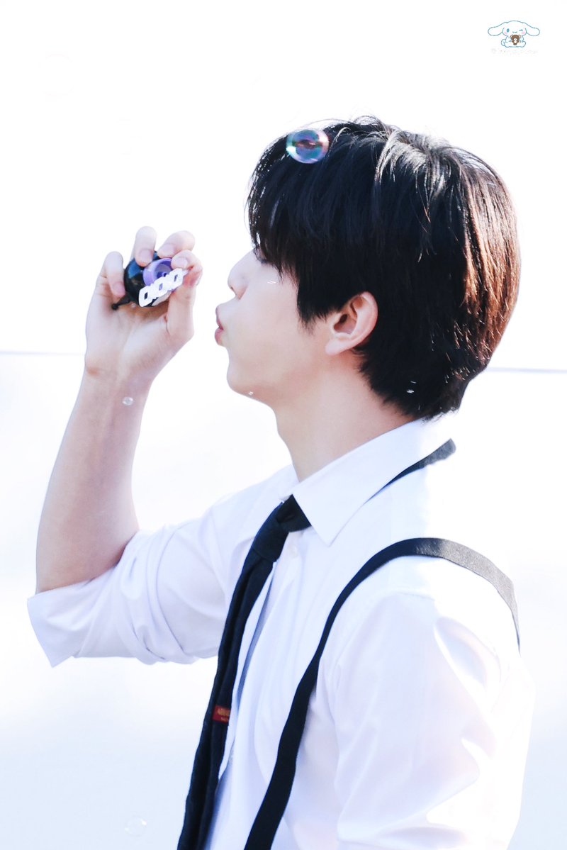 🐰🐶 tweet media