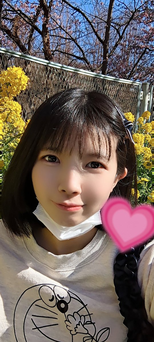 戸叶 菫(とかの すみれ)4/17〜19朗読劇 tweet media