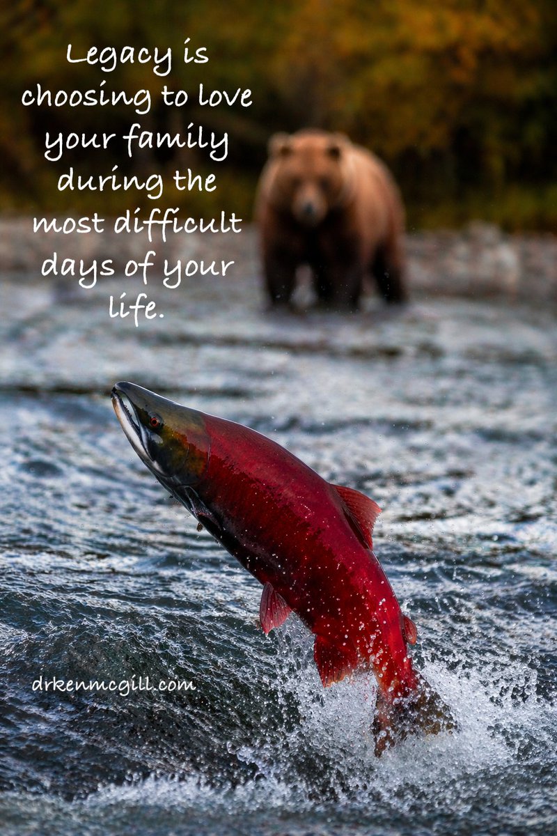 Drkenmcgill01's tweet image. “Wisdom that Sticks” (#89) are daily insights to cultivate love, wisdom, and intentional living, based on a Wisdom Tool exercise in Cultivating Love: Wisdom for Life by Dr. Ken McGill
amazon.com/Cultivating-Lo…

#Outdoors #Outdoorsman #OutdoorLife #GetOutside #AdventureOutdoors