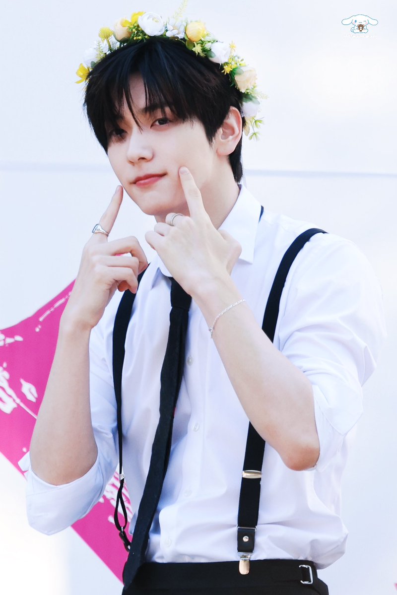 🐰🐶 tweet media