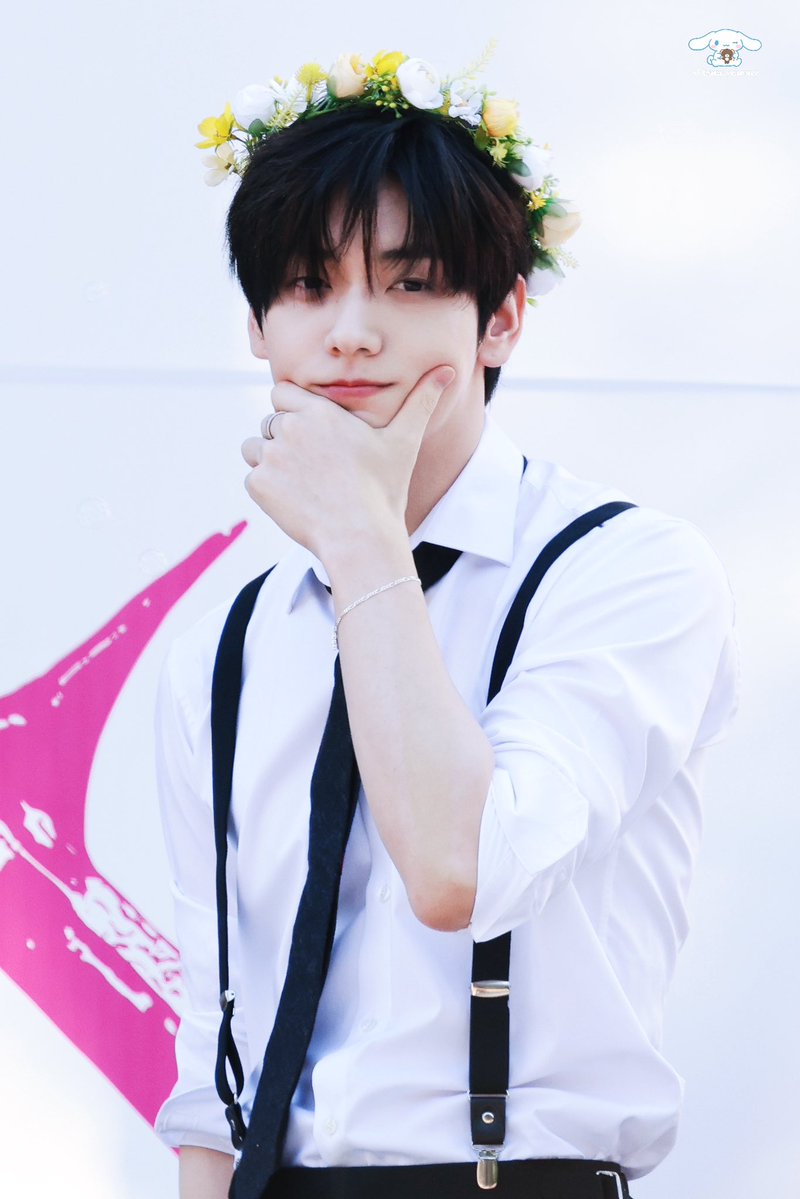 🐰🐶 tweet media