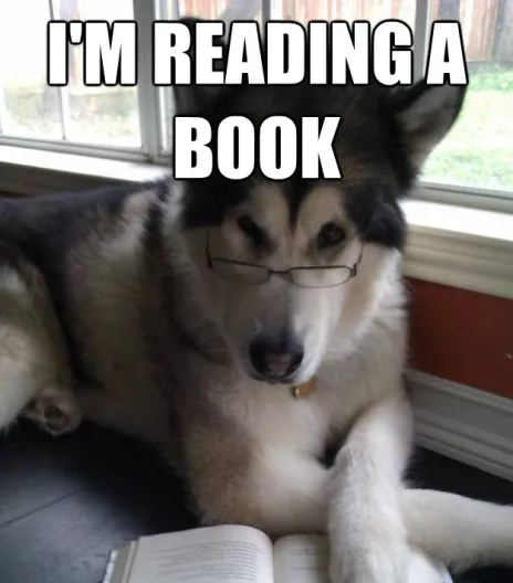 memesnobottomtext@bsky.social (@memesnobttmtext) on Twitter photo 