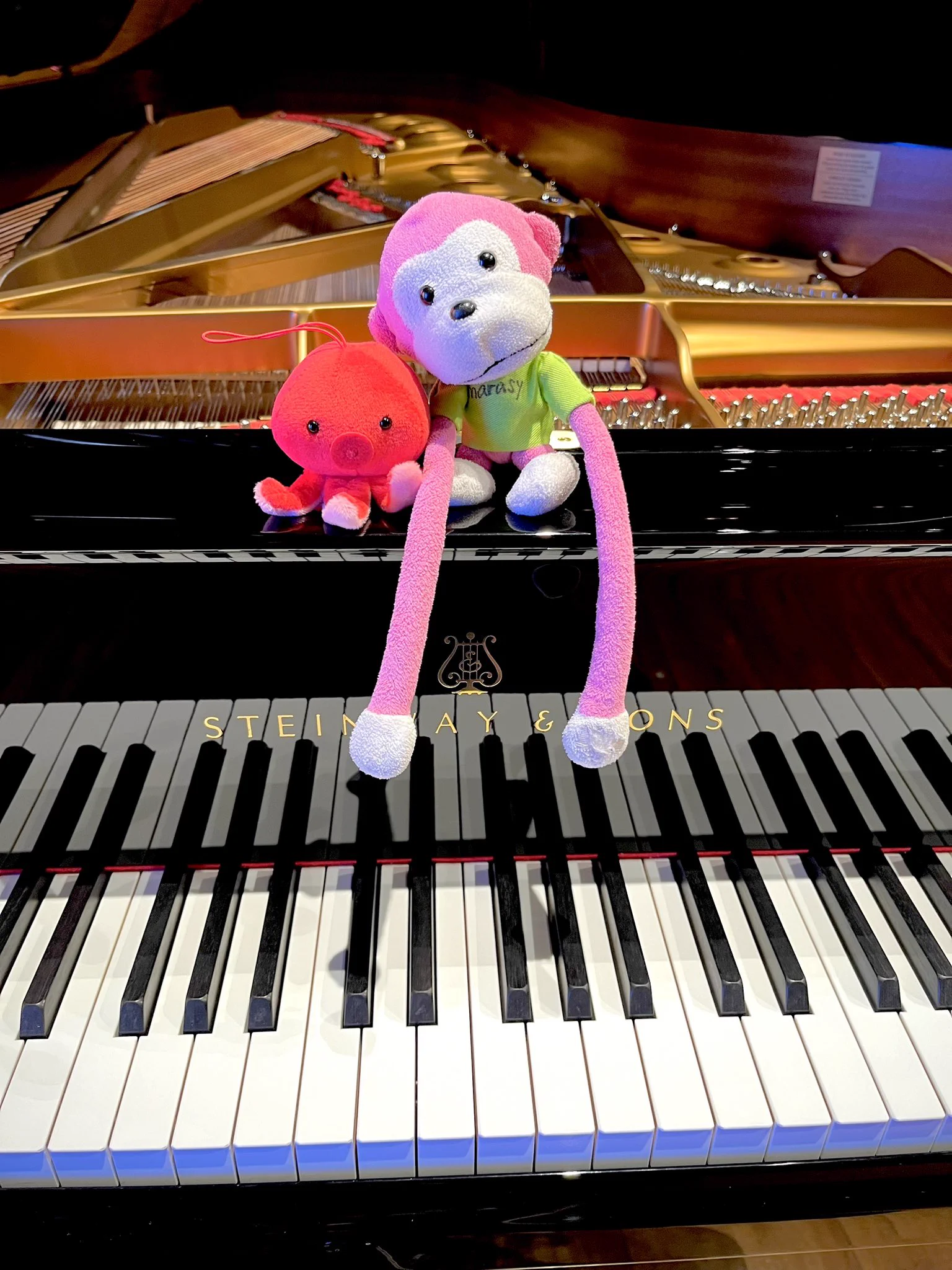 まらしぃ sur X : « 今日は大阪でライブやらせてもらいます！よろしく