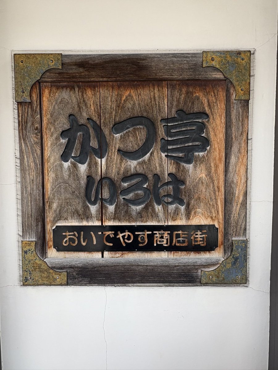 くまねこ 🐯ブログ写真整理中💦 tweet media