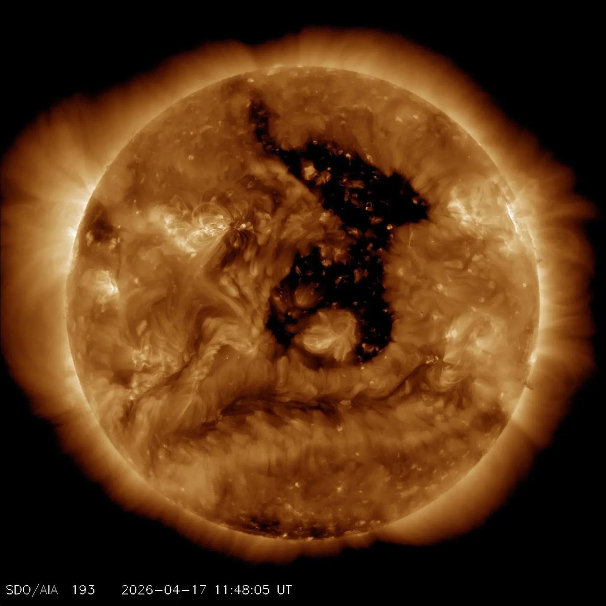 AMAZlNGNATURE's tweet image. The Sun currently has a "hole" in it 20 times the size of Earth, and it’s staring right at us. (April 17, 2026)