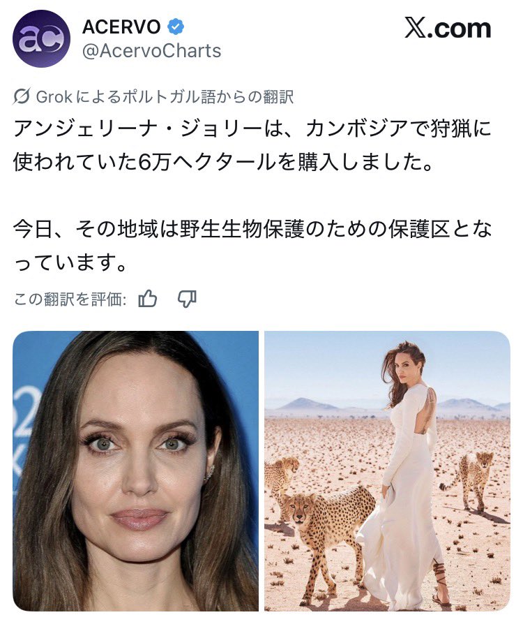 まろちゃん tweet media