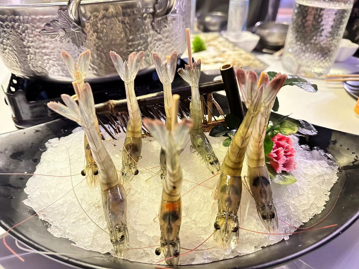 Sofia1281334227's tweet image. "Teamwork makes the dream work!  Share your best small-group win—what’s one tiny action that made your collaboration spark  #CollabWin #TeamMagic"