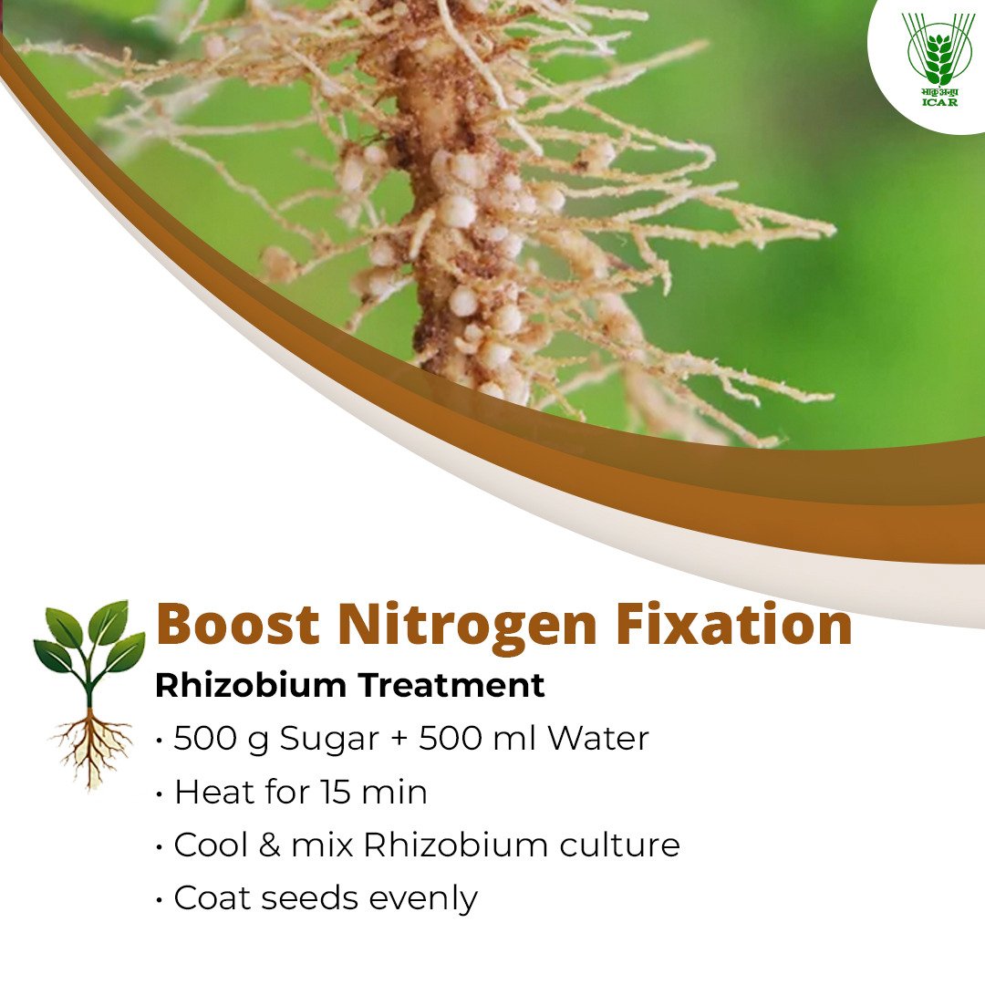 Indian Council of Agricultural Research. tweet media