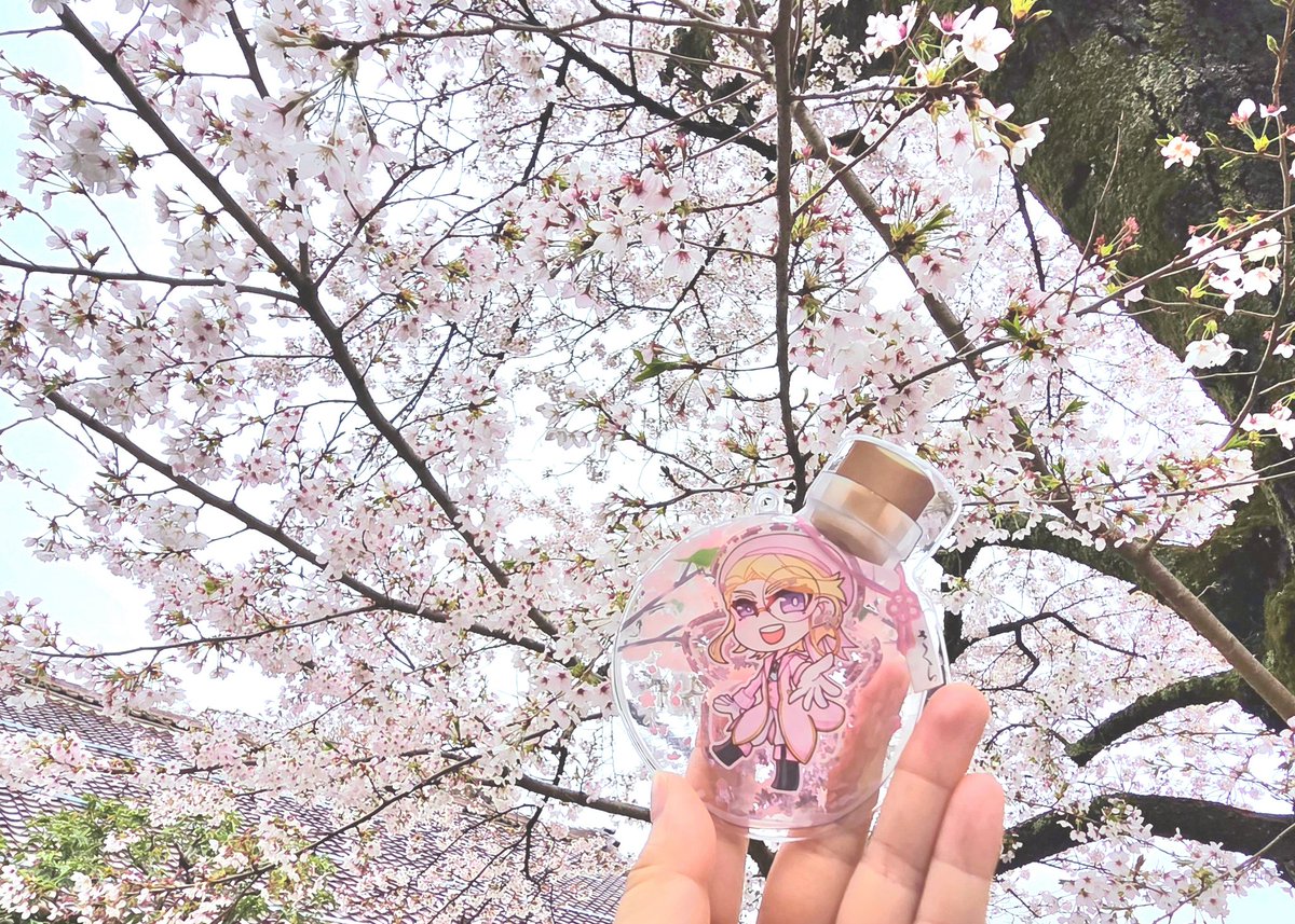 6711ussk's tweet photo. @_IDRAG 
桜の妖精 https://t.co/sdnXoB9yJE