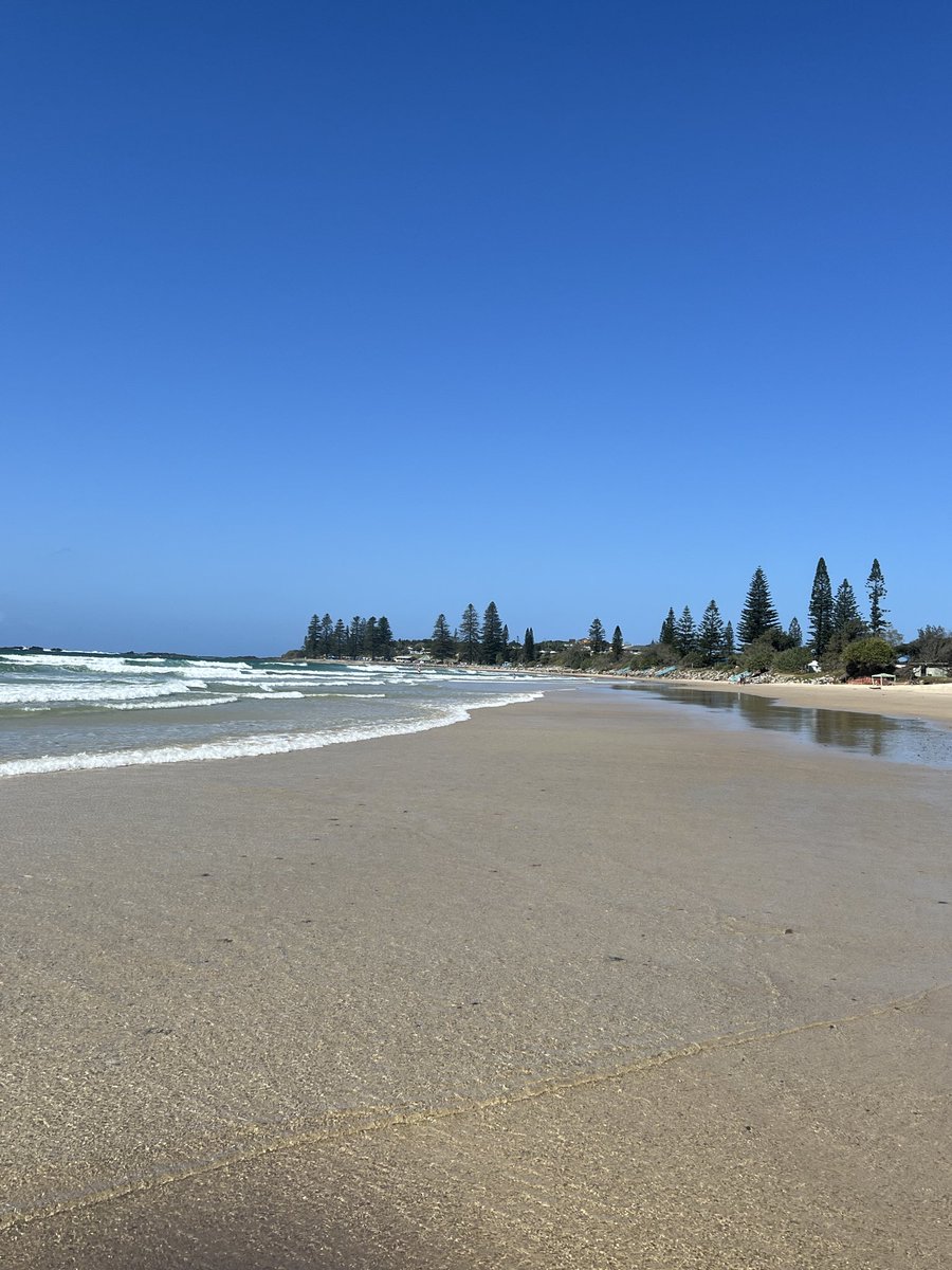 Kayla Grace 🤍🇦🇺 tweet media