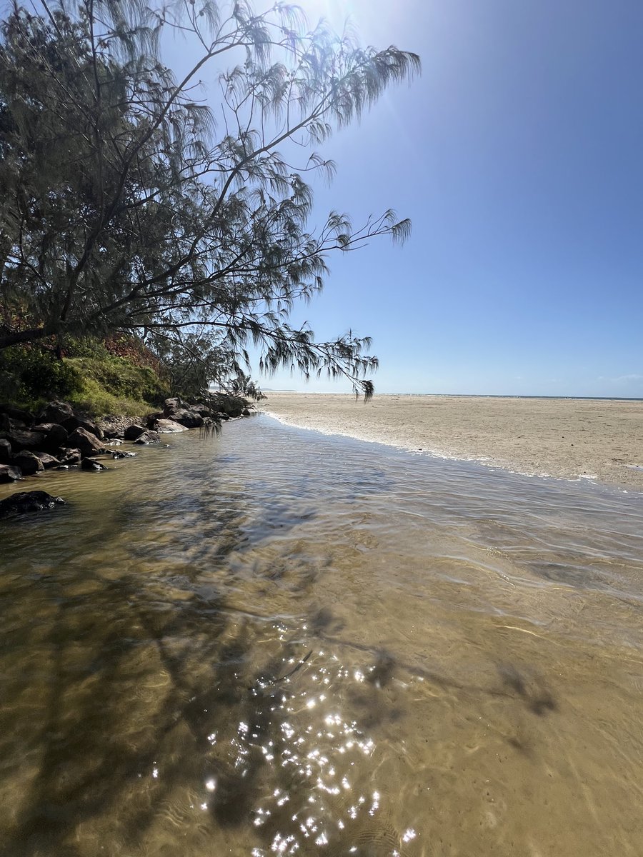 Kayla Grace 🤍🇦🇺 tweet media