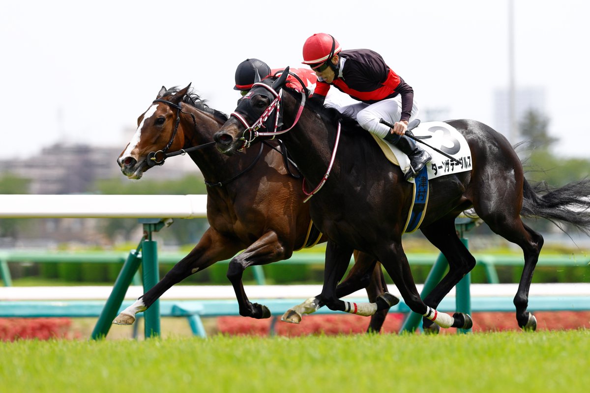 『優駿』編集部 tweet media