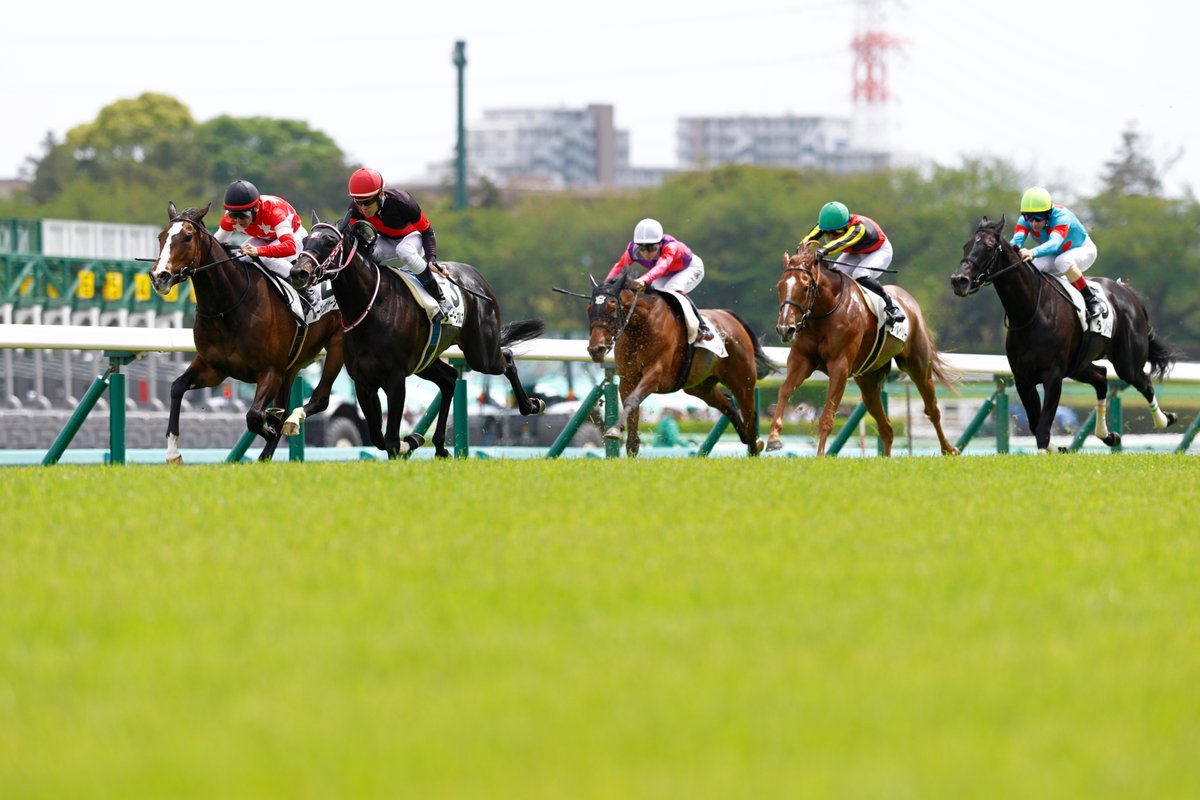 『優駿』編集部 tweet media