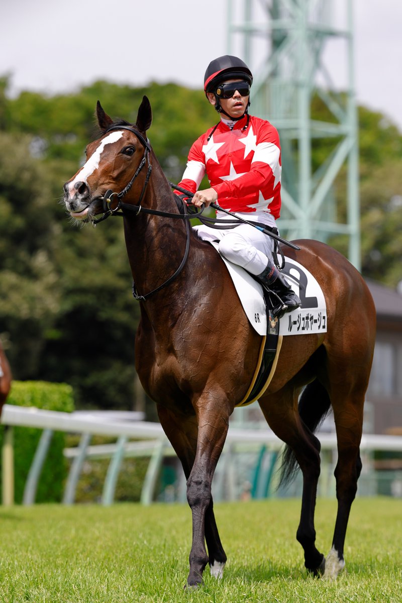 『優駿』編集部 tweet media