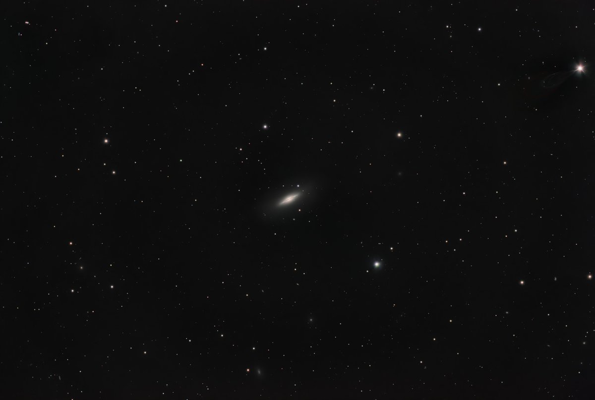 kunino0606's tweet photo. #ngc5866
#m102 かもしれないそうです
一枚目は拡大しています
意図的に並べたみたいに星が規則的になっていて面白いです
更にその周りには名前も分からない銀河っぽいのが沢山あって見ていて飽きません
星はbxtのあとhdrで戻しています
c8の周辺像はbxt無しには見れた物ではありませんね https://t.co/RQTMK2eU4T