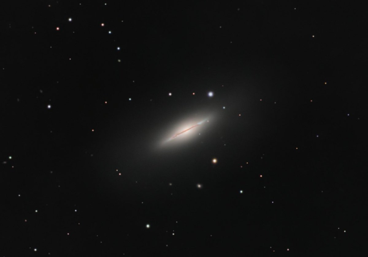 kunino0606's tweet photo. #ngc5866
#m102 かもしれないそうです
一枚目は拡大しています
意図的に並べたみたいに星が規則的になっていて面白いです
更にその周りには名前も分からない銀河っぽいのが沢山あって見ていて飽きません
星はbxtのあとhdrで戻しています
c8の周辺像はbxt無しには見れた物ではありませんね https://t.co/RQTMK2eU4T