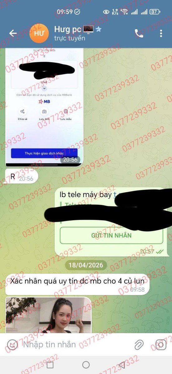 MAY BAY HCM tweet media