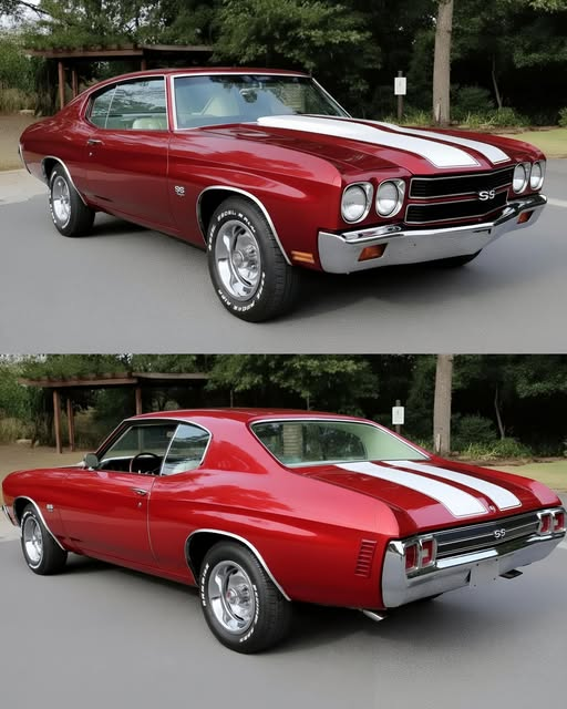 Sofia50020Sofia's tweet image. 1970 Chevrolet Chevelle SS

If someone offered a Tesla for it, would you?

Yes

or

No