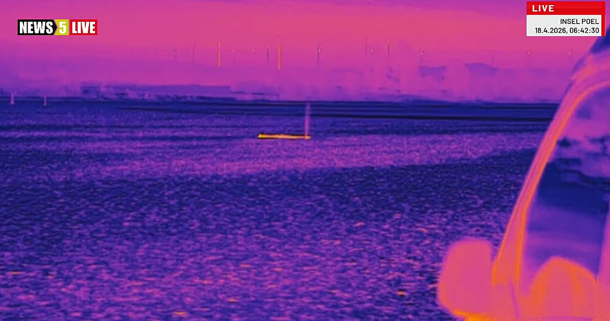 Nin 🐋💙 tweet media