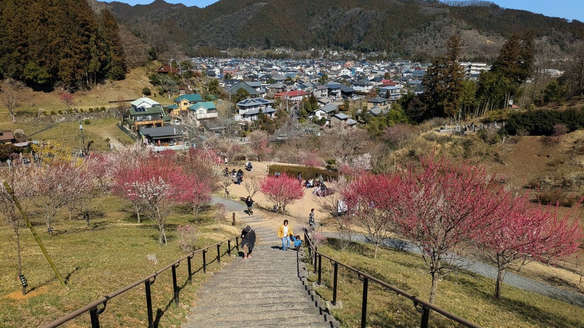 スミスさん tweet media