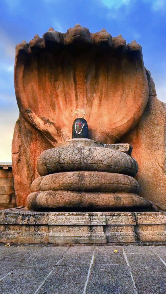 JiHits's tweet photo. Jay shiv ji 🌹 https://t.co/lw3NMTri0f