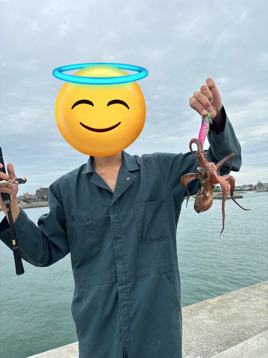 🌾たいちょー🌾 tweet media