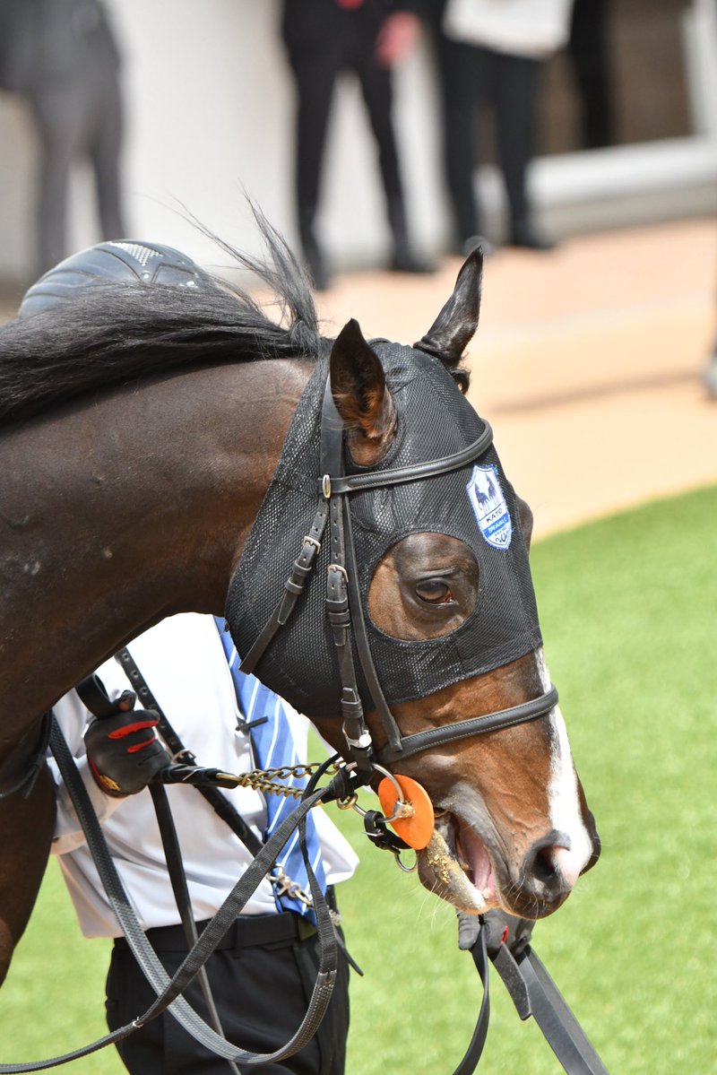 手羽先 tweet media