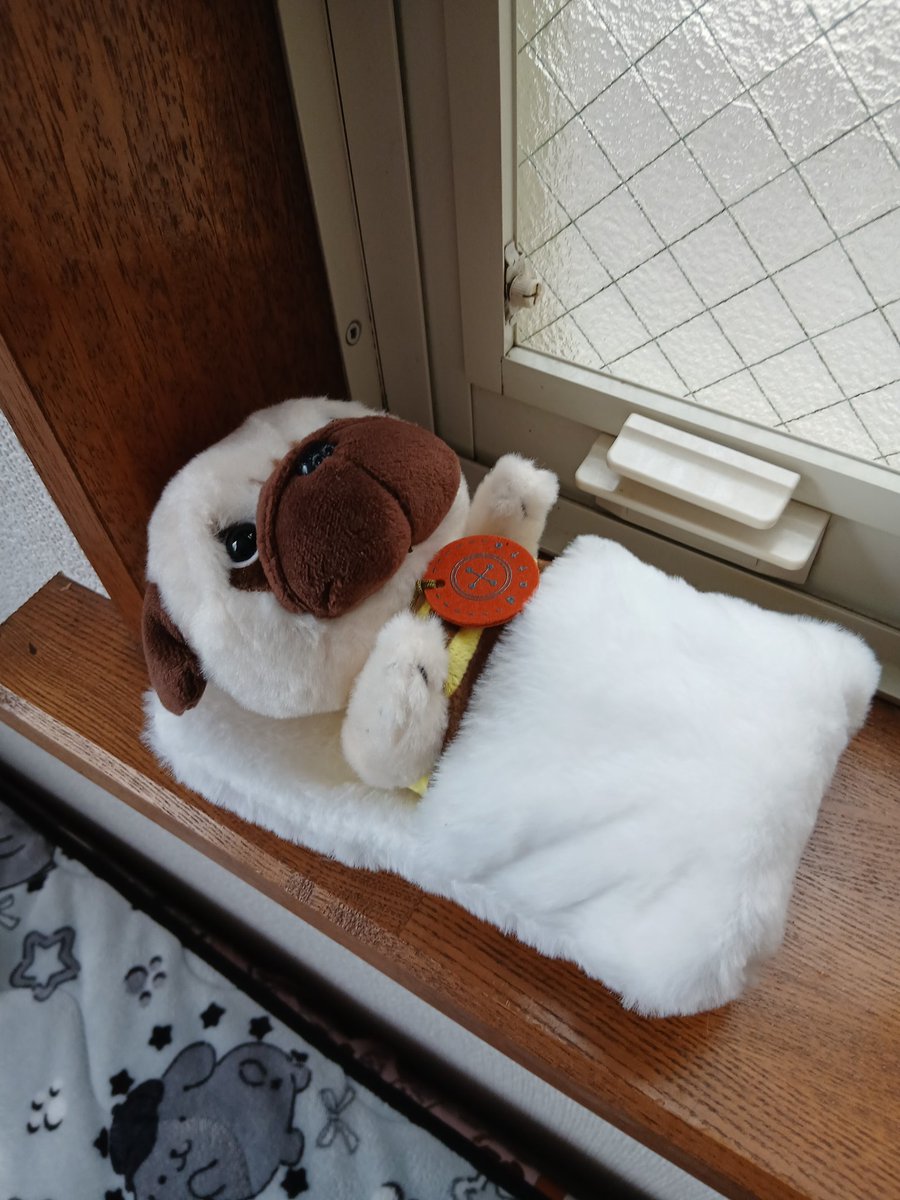 #パグ蔵 お昼寝(  ¯꒳​¯ )ᐝなう(2026/04/18 13:52:08)