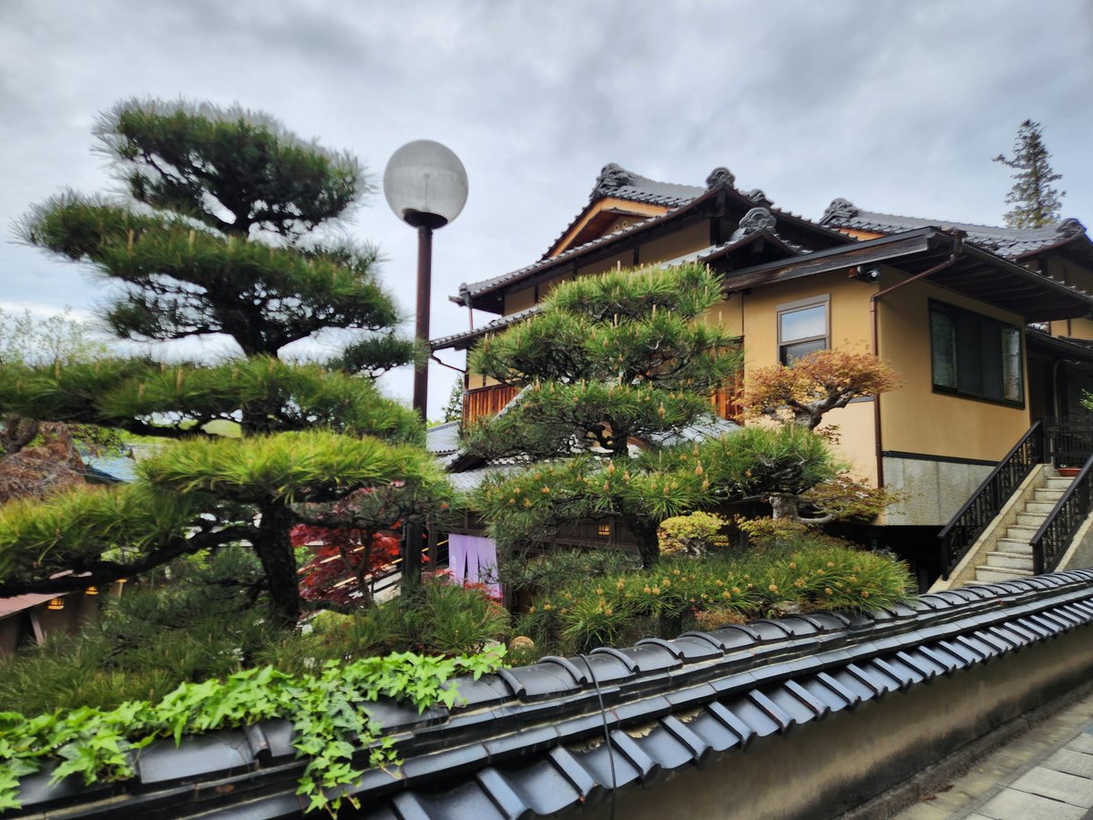 まどベア tweet media