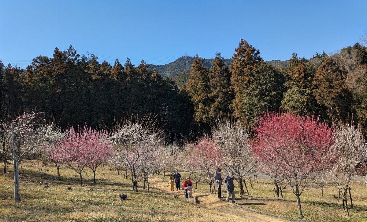 スミスさん tweet media