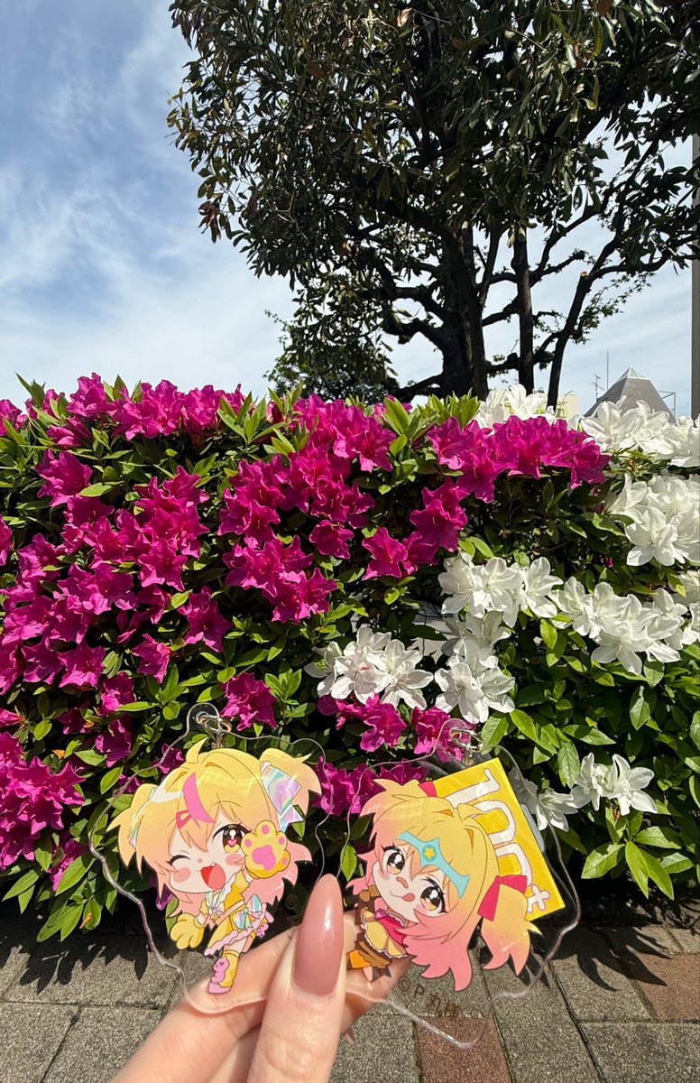 まるさま専用ページ★ P丸様。🐣🍳 (@p_ma_ru) / Posts / X