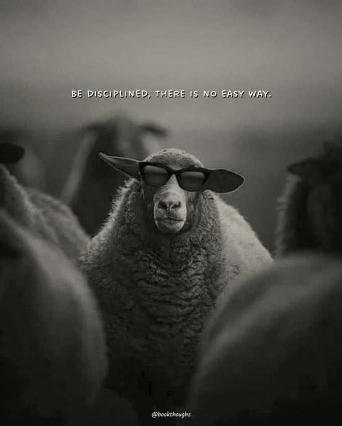 ⚖️DestySmart 🤓 tweet media