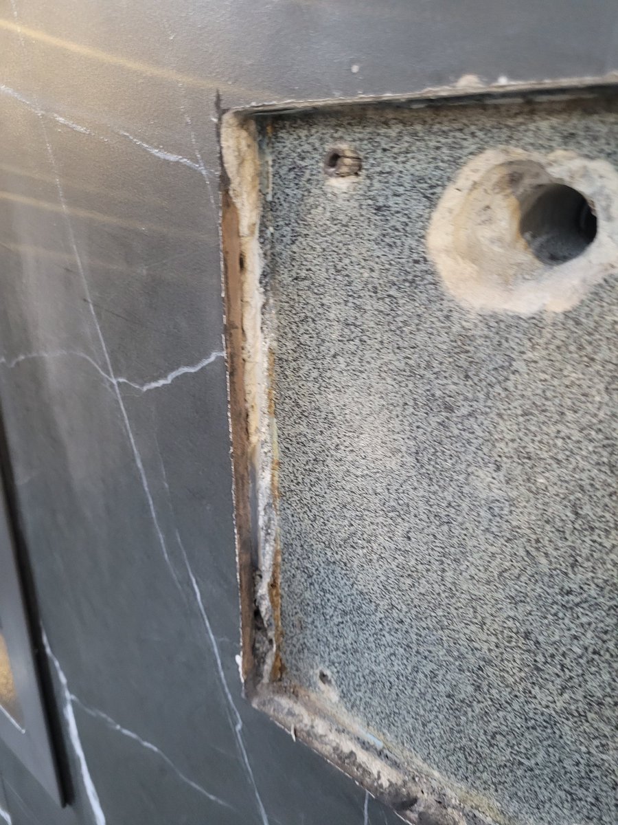 nutria cuarentona tweet media