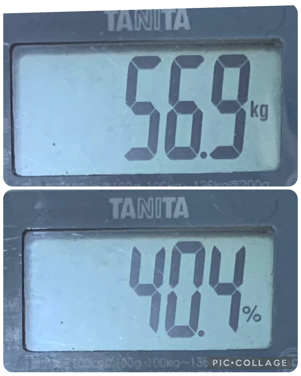 EMA🕰毎日体重記録する2026.04.07〜 tweet media