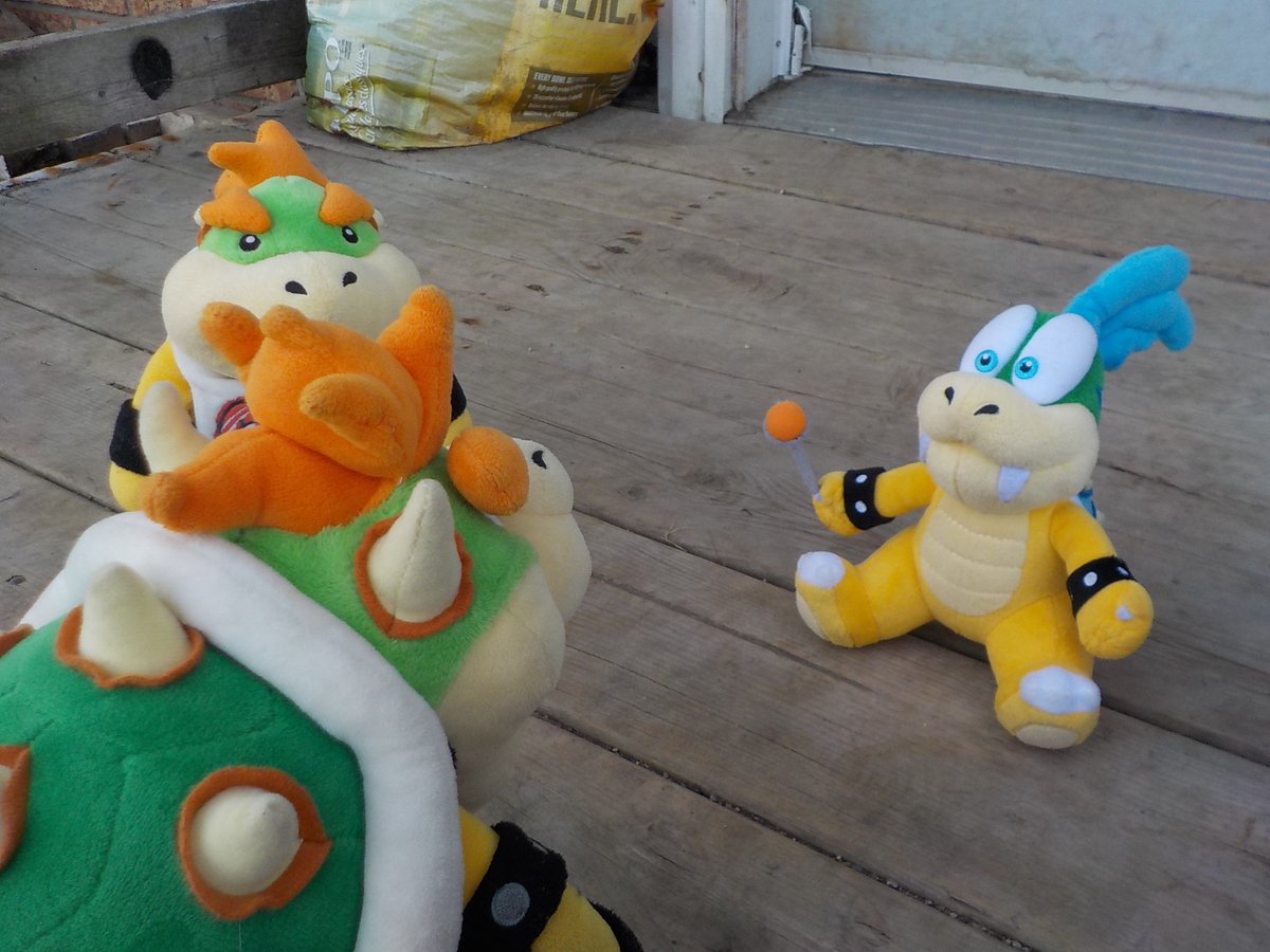 Bowser Jr. tweet media