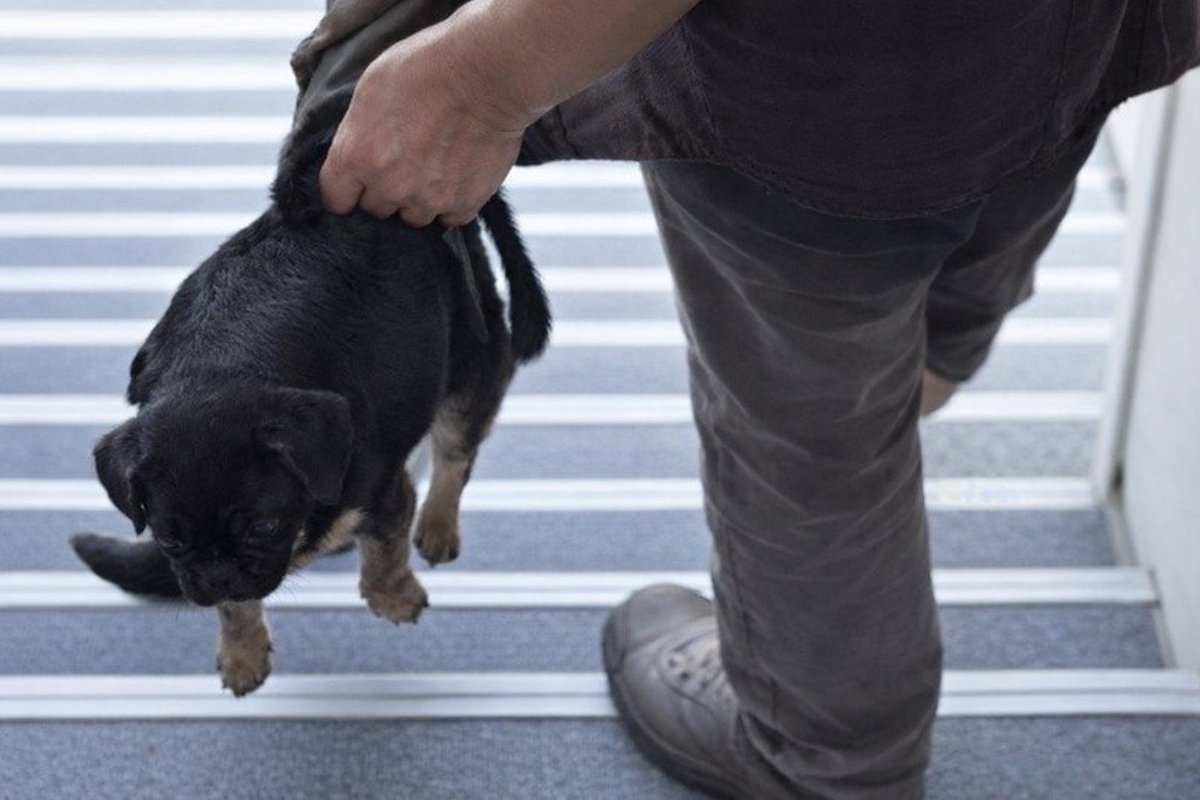 Hilary Kabel tweet media