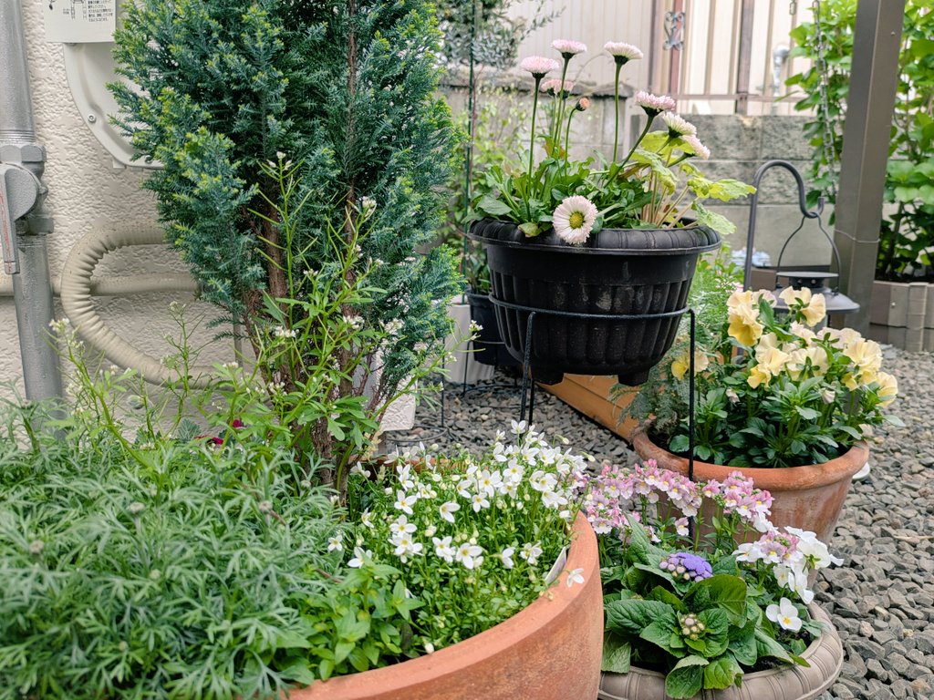 とても静かな北浜です。
ドーナツはシナモン、チョコ、抹茶が１個ずつ、プレーンは５個あります。
マフィン、プリン、イタリアンプリンは余裕ございます。

17時までお待ちしております🙂
#菓子屋ハウフル