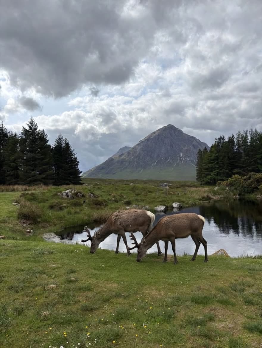 Paul Patrick tweet media