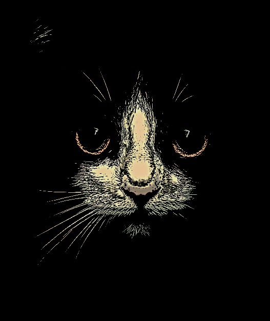milevbtc's tweet image. On the hunt 

#digitalartwork #animals #pets #cats #zora

Instagram - milevbtc &amp;amp; mosaicsbg
zora.co/@milevbtc