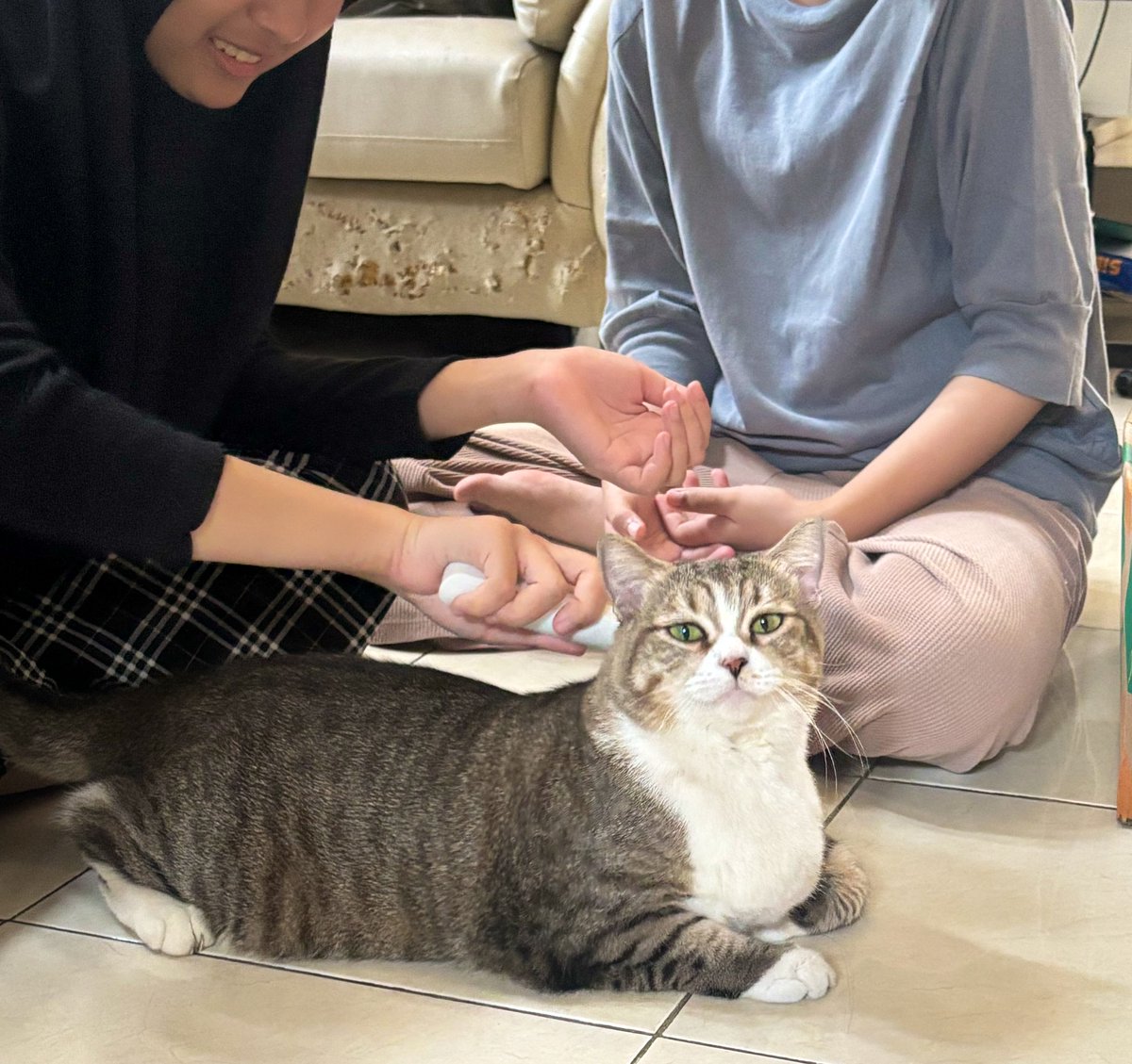 お姉さん達にチヤホヤされてご満悦のももちゃん