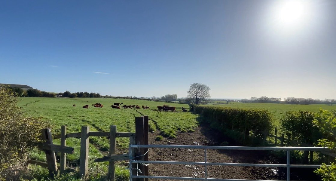 • 🏴󠁧󠁢󠁥󠁮󠁧󠁿 (@btxlll) on Twitter photo 